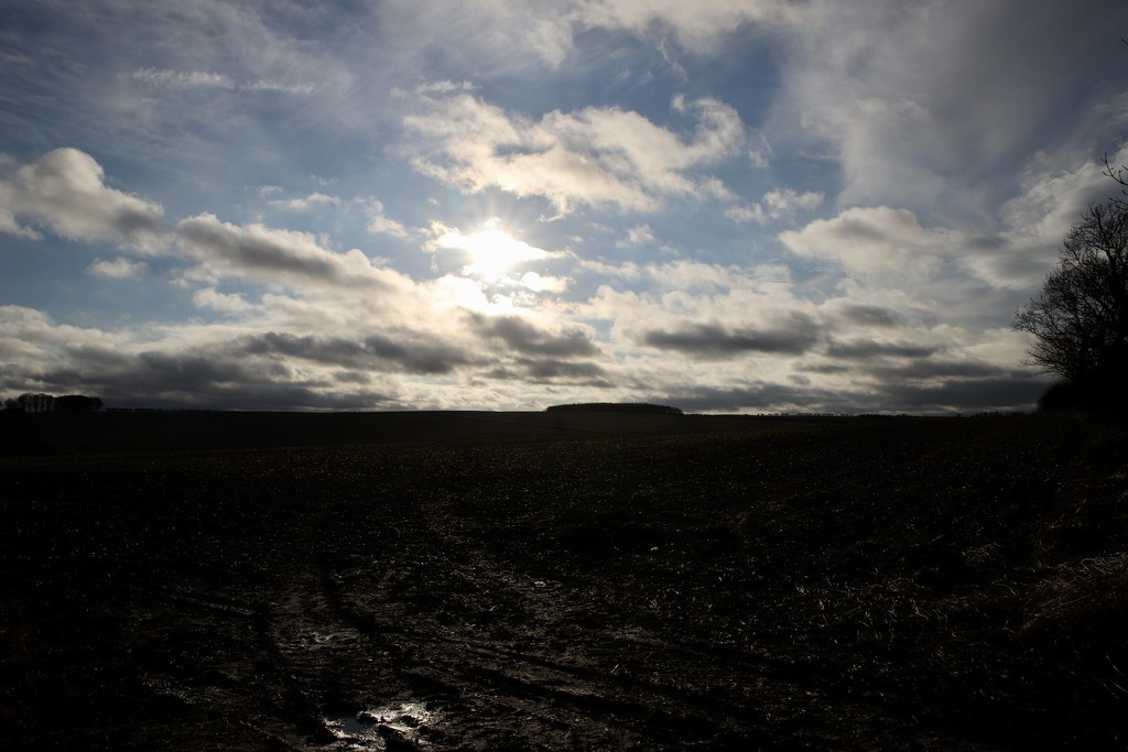 Lincolnshire Landscape by phil_sandford