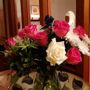 7th Jan 2020 - Roses and more