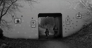 6th Jan 2020 - Arnot Hill Park Tunnel (Helios 44m-4 58mm f2 vintage lens)