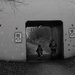 Arnot Hill Park Tunnel (Helios 44m-4 58mm f2 vintage lens) by phil_howcroft
