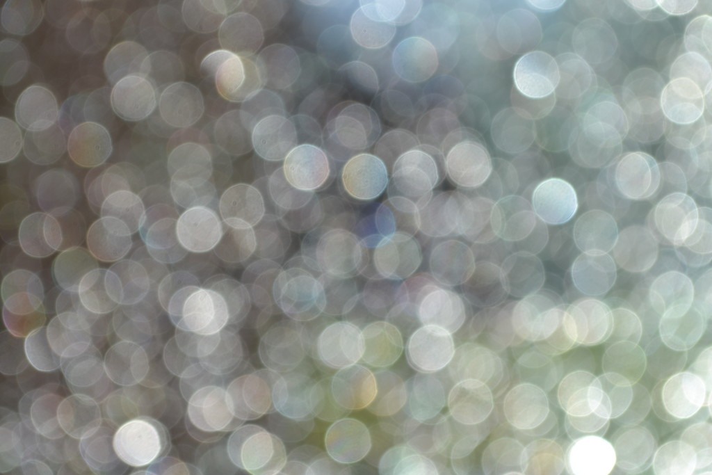 Bokeh from yesterday's picture by dmdfday