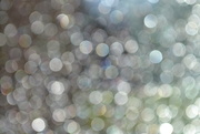 6th Jan 2020 - Bokeh from yesterday's picture