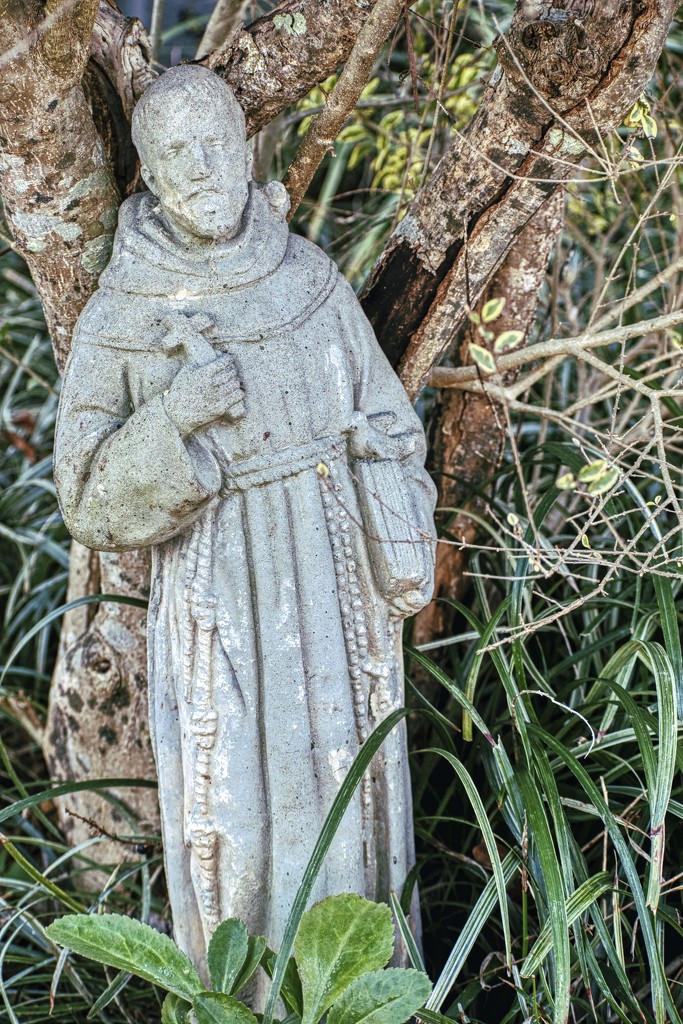 St Francis by k9photo