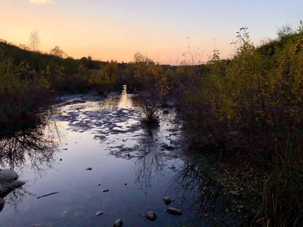 Sunset on the pond by loweygrace