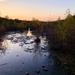 Sunset on the pond by loweygrace