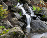 8th Jan 2020 - Waterfall near Blyn, WA