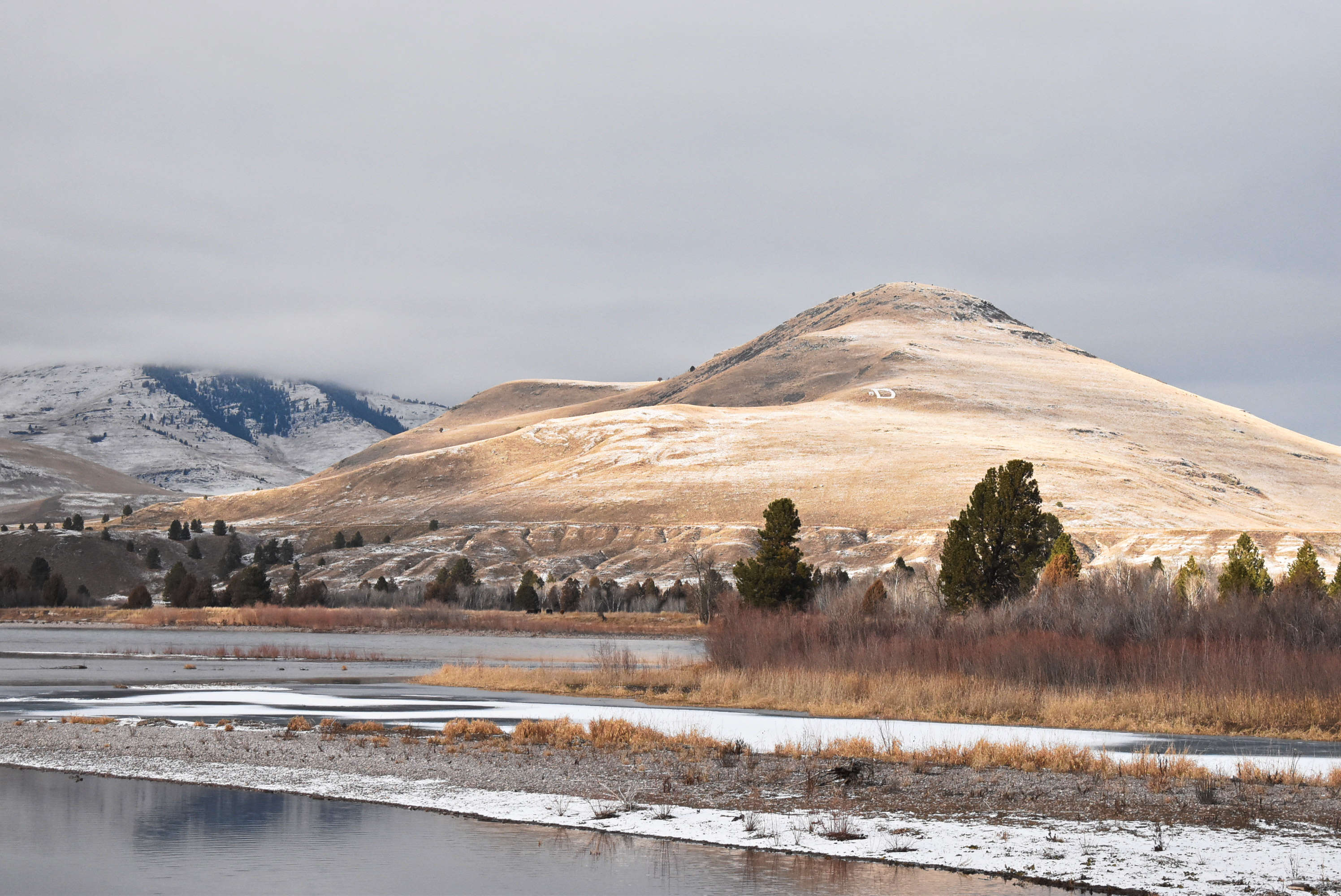 "D" is for Dixon (Montana) by Barb · 365 Project