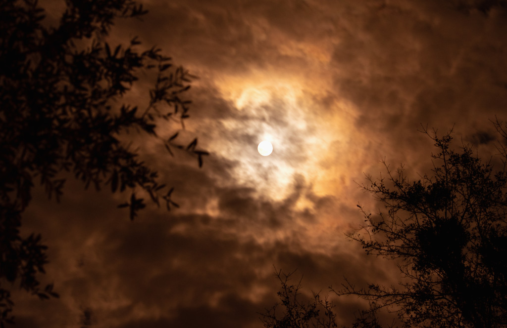 Tonight's Almost Full Moon and Clouds! by rickster549