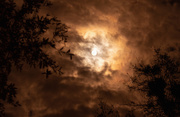 9th Jan 2020 - Tonight's Almost Full Moon and Clouds!