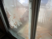 10th Jan 2020 - A view through frosted sliding doors
