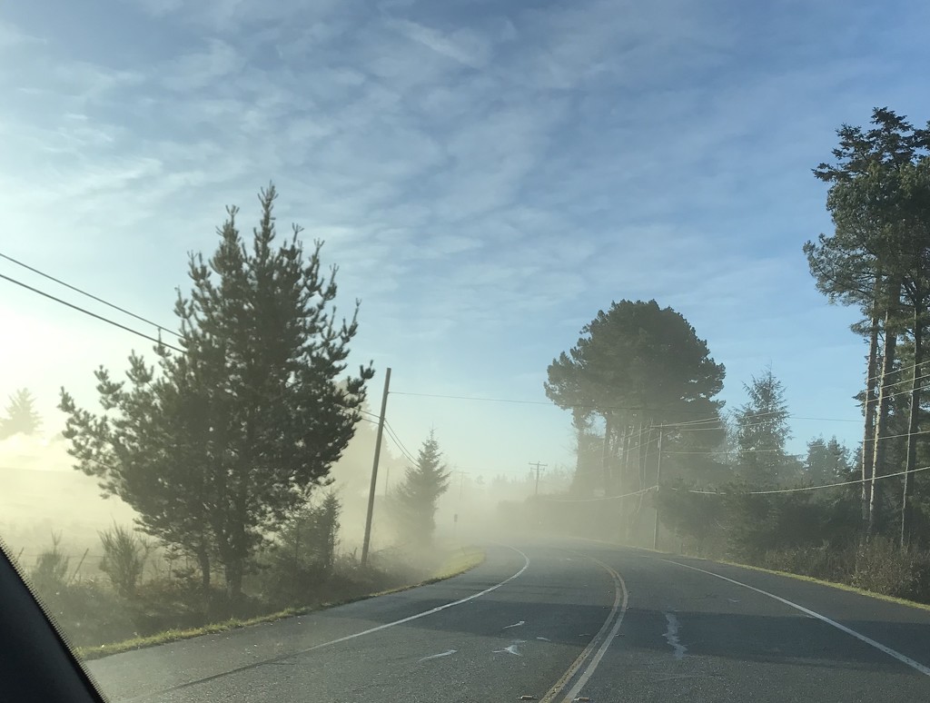 Ground fog by pandorasecho
