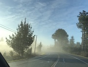 8th Jan 2020 - Ground fog