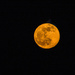 Full moon by caterina