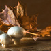 mushrooms with leaf by jernst1779