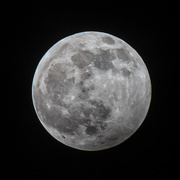10th Jan 2020 - Wolf Moon