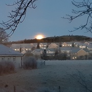 10th Jan 2020 - Morning moonset!