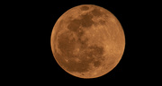10th Jan 2020 - Tonight's Full Moon!