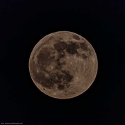 10th Jan 2020 - Wolf Moon
