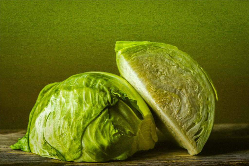 cabbage by jernst1779