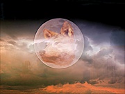 11th Jan 2020 - Wolf Moon