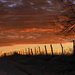 Morning clouds Above the Fence Line by kareenking