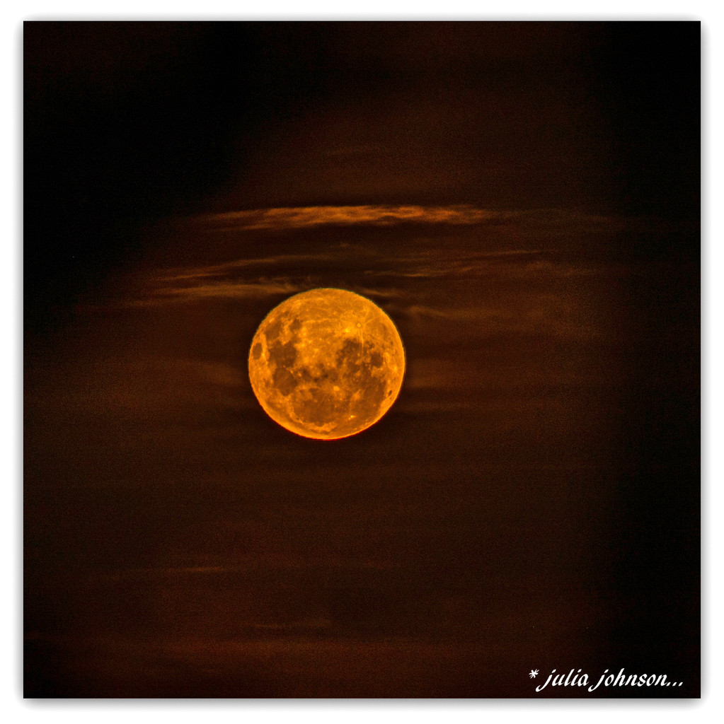 Hay Moon or Wolf Moon...#1 by julzmaioro