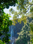 12th Jan 2020 - Wairere Falls