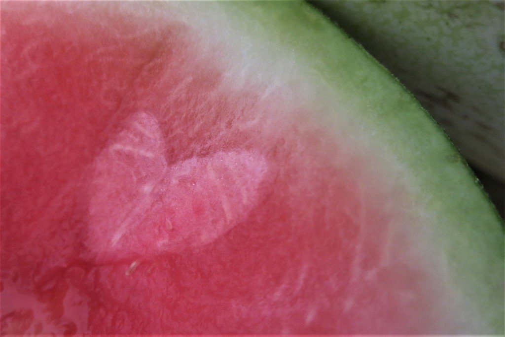 I just love a watermelon by lmsa