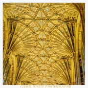 12th Jan 2020 - The Ceiling,Sherborne Abbey