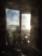 12th Jan 2020 - Open window (shot through home made filter)