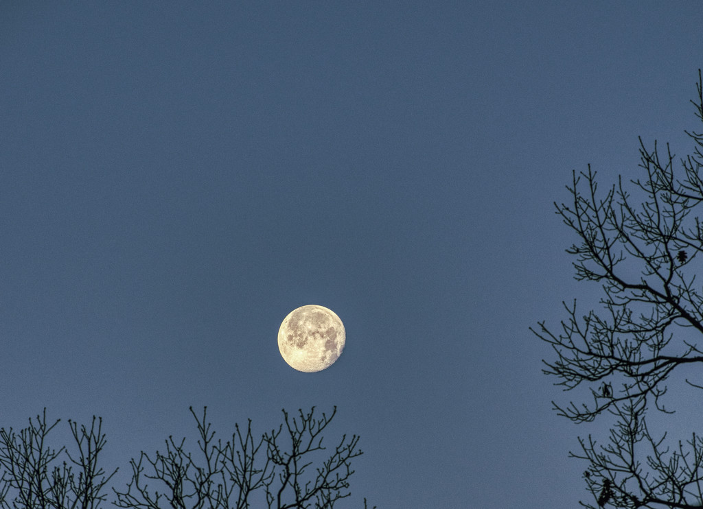 Full Moon Setting by k9photo