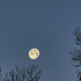 Full Moon Setting by k9photo