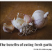 Garlic by salza