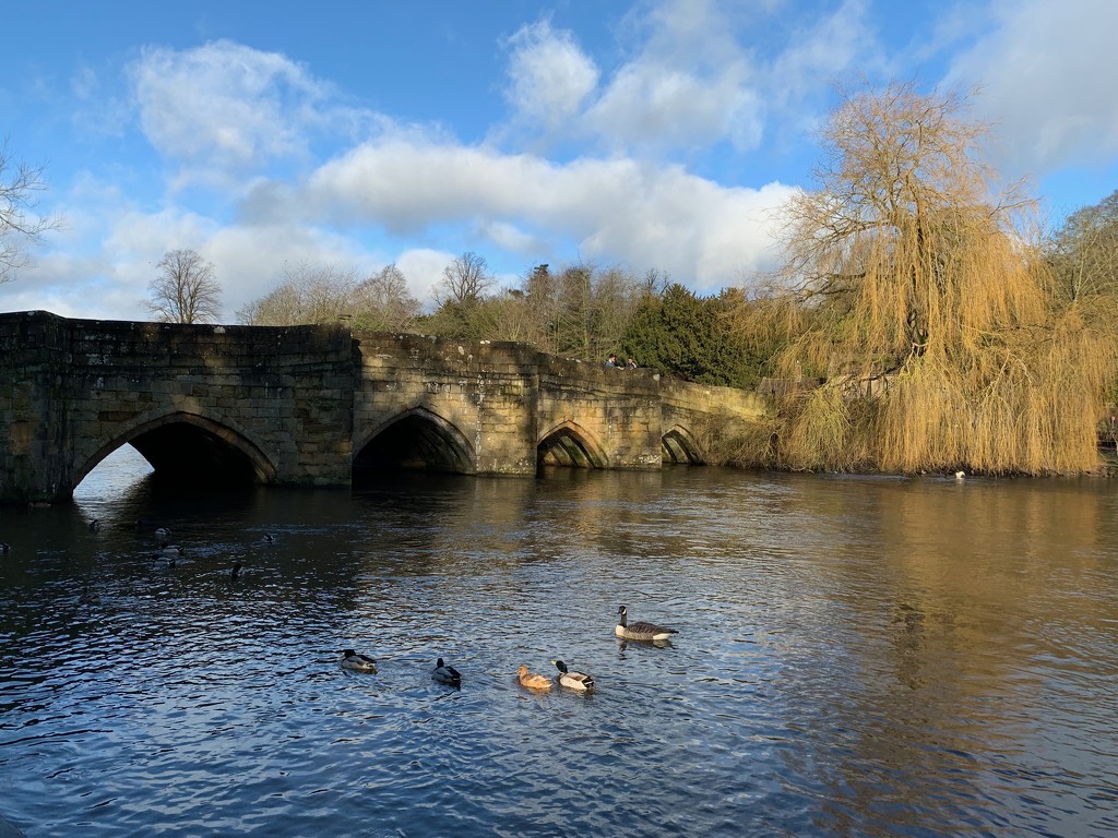 River Wye by 365projectmaxine