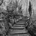 The steps I take by isaacsnek