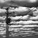 Transformer Pole and Wires by vignouse