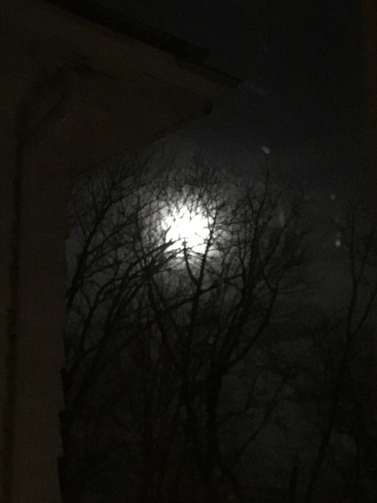 The moon by tatra
