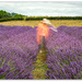 Always make time to smell the Lavender... by julzmaioro