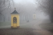 12th Jan 2020 - Calvary in the fog
