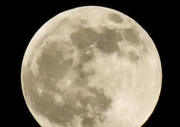 10th Jan 2020 - fuul moon 