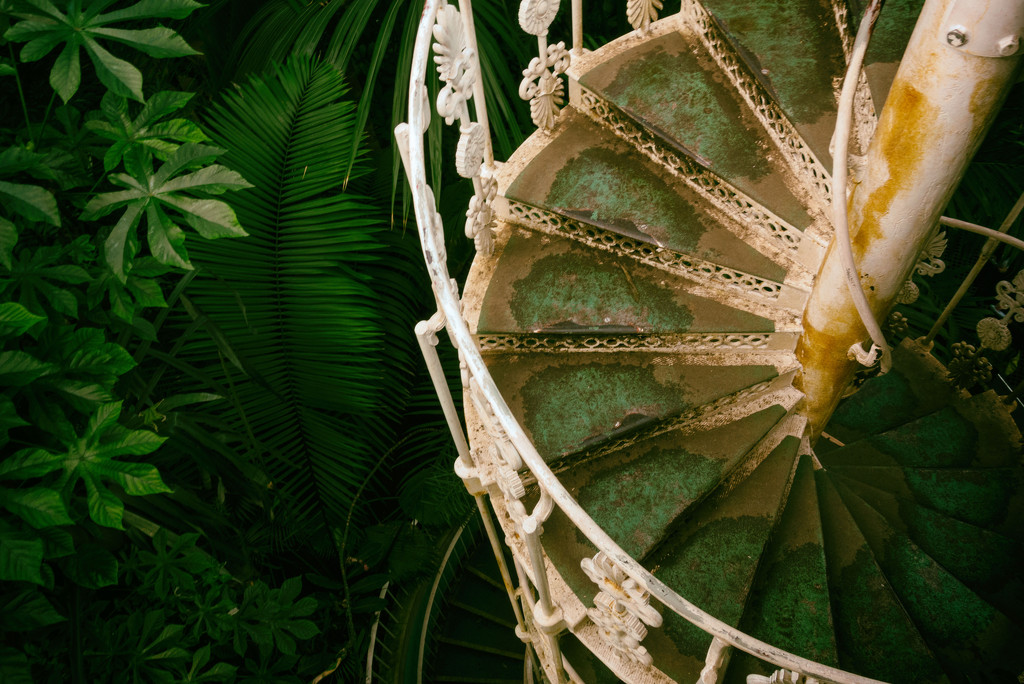 Palm house stairs by rumpelstiltskin