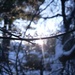 Light of Winter Morning by waltzingmarie