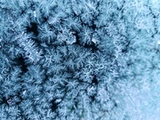 5th Dec 2019 - Snowflakes up close