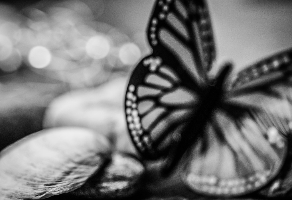 Migrating Monarch in Mono by mzzhope