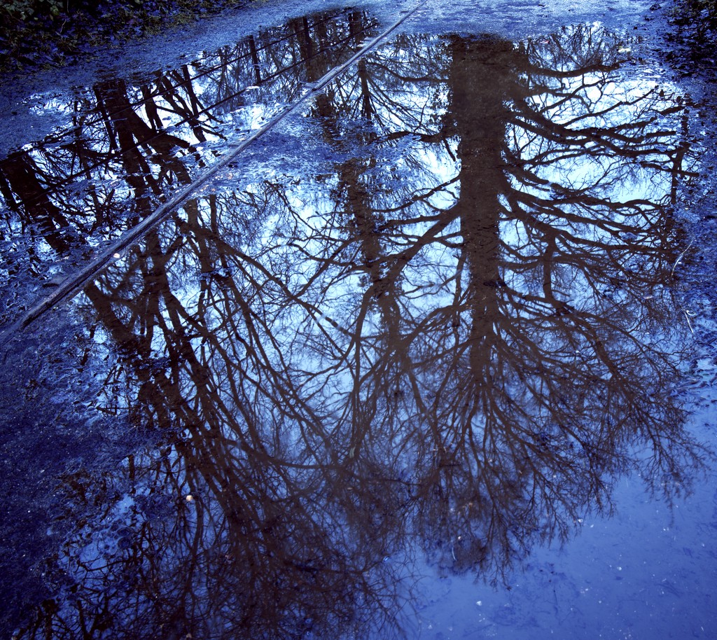 Reflection  by moonbi