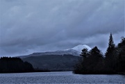 14th Jan 2020 - Loch Ard