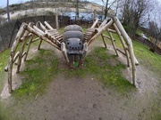 14th Jan 2020 - Spider in the Park!