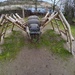 Spider in the Park! by bizziebeeme
