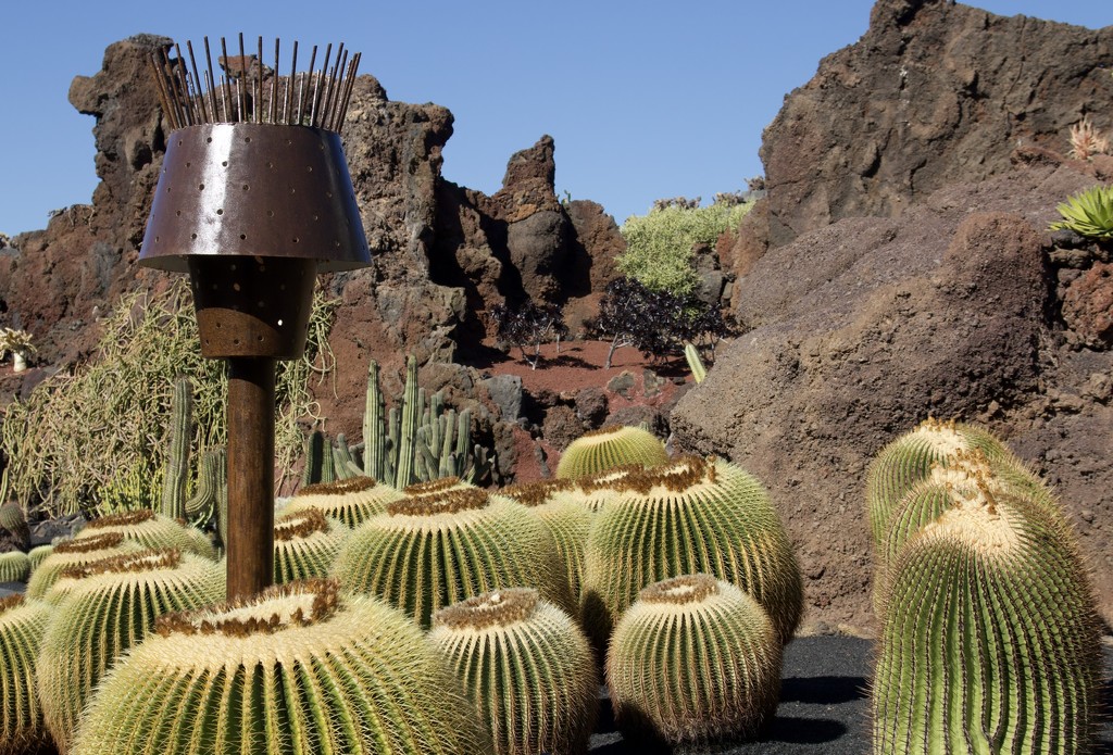 El Jardín de Cactus by jqf