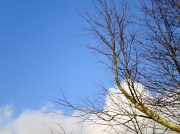 9th Jan 2011 - Sky blue